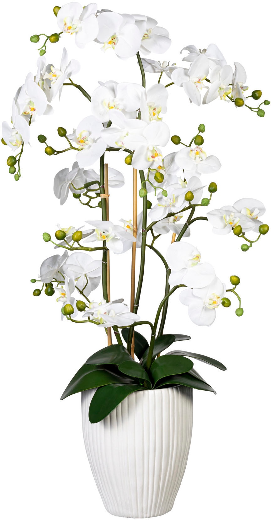 Creativ green Kunstorchidee "Deko-Orchidee Phalaenopsis XL im Keramiktopf"