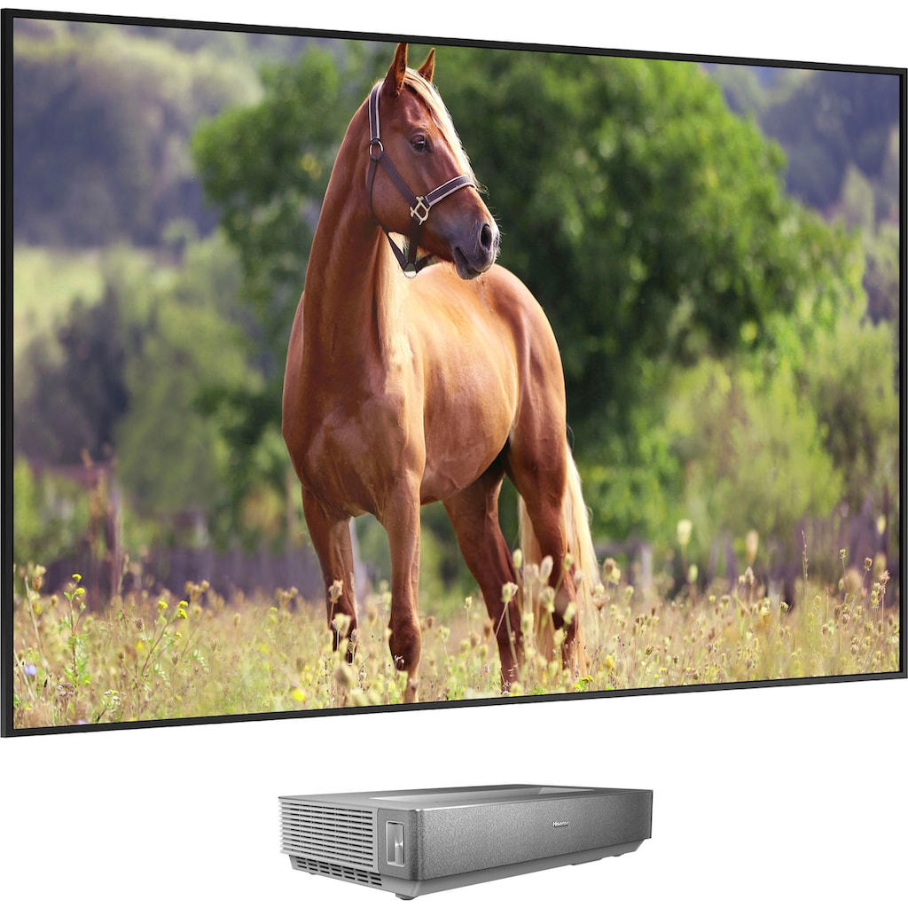 Hisense DLP-Beamer »Hisense 100L5HD Daylight Screen (100 Zoll) Laser TV Projektor«