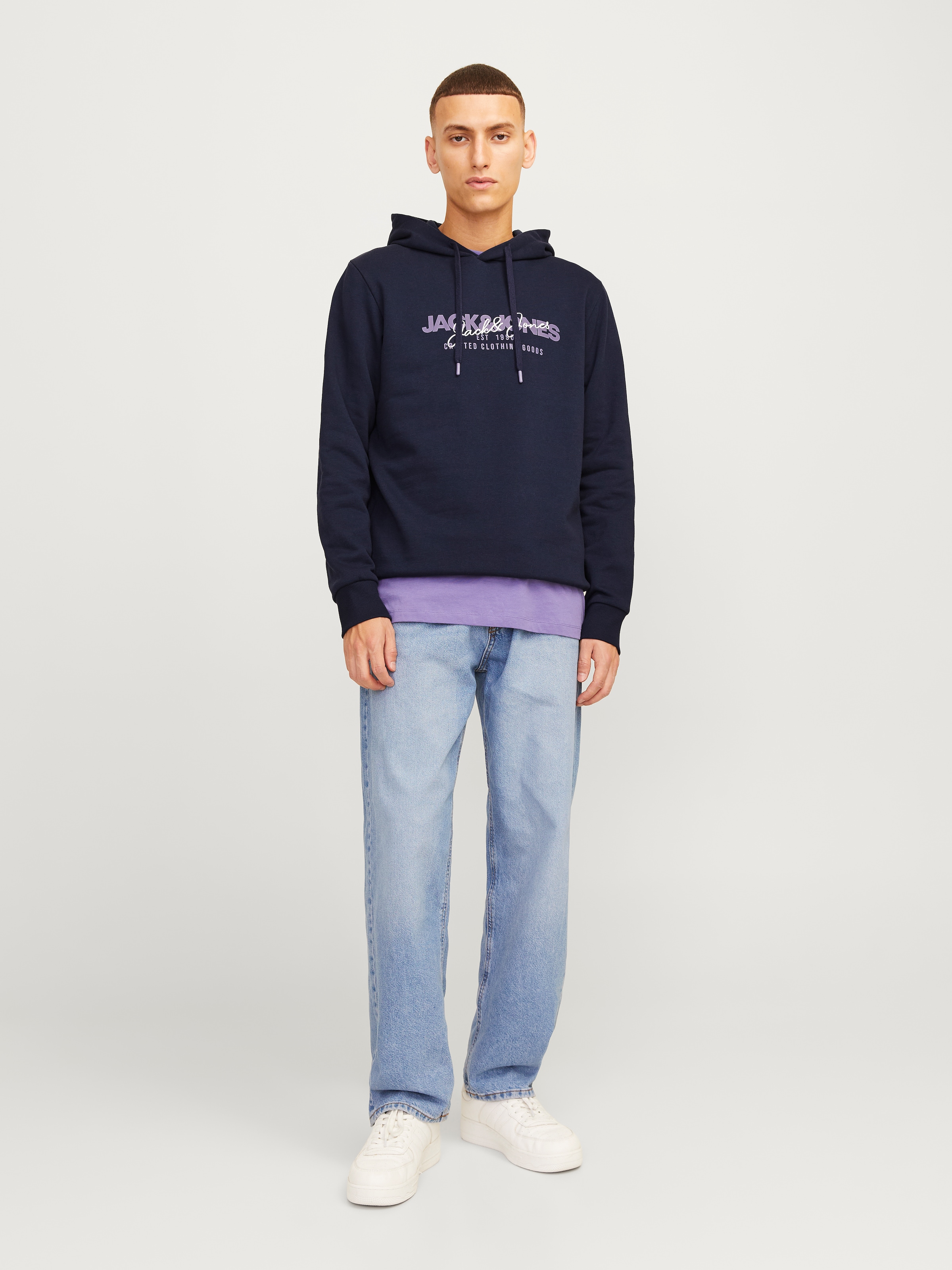 Jack & Jones Kapuzensweatshirt »JJALVIS SWEAT HOOD«