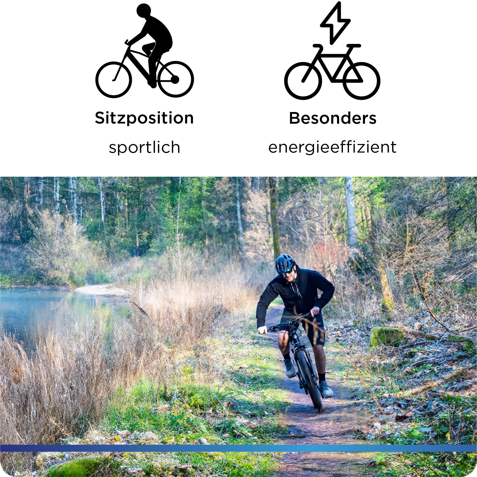 Zündapp E-Bike »Z898«, 10 Gang, Heckmotor 250 W, Pedelec, Elektrofahrrad für Damen u. Herren, MTB