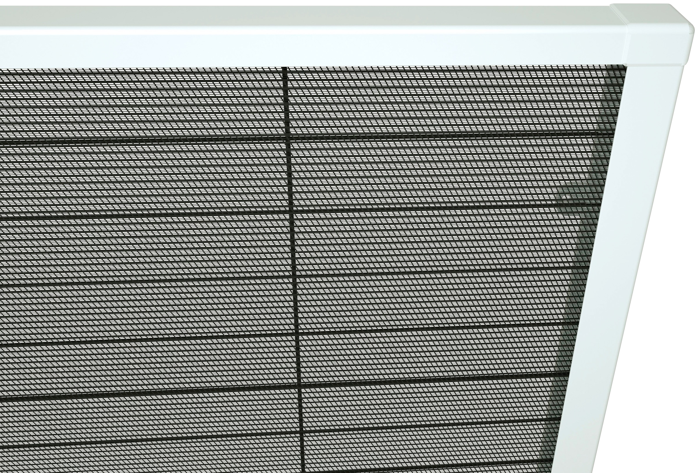 Black Friday BxH: »für | Dachfenster«, cm hecht BAUR 110x160 international transparent, weiß/anthrazit, Insektenschutzrollo