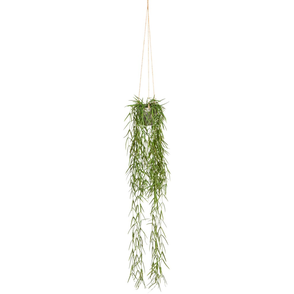 Creativ green Kunstranke »Tillandsia aeranthos im Hängetopf«