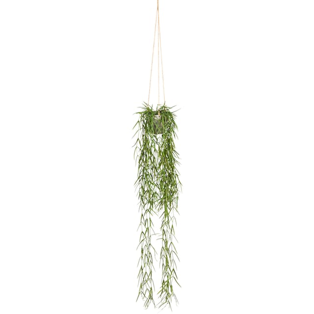 Creativ green Kunstranke »Tillandsia aeranthos im Hängetopf«, im Hängetopf  aus Kunststoff bestellen | BAUR