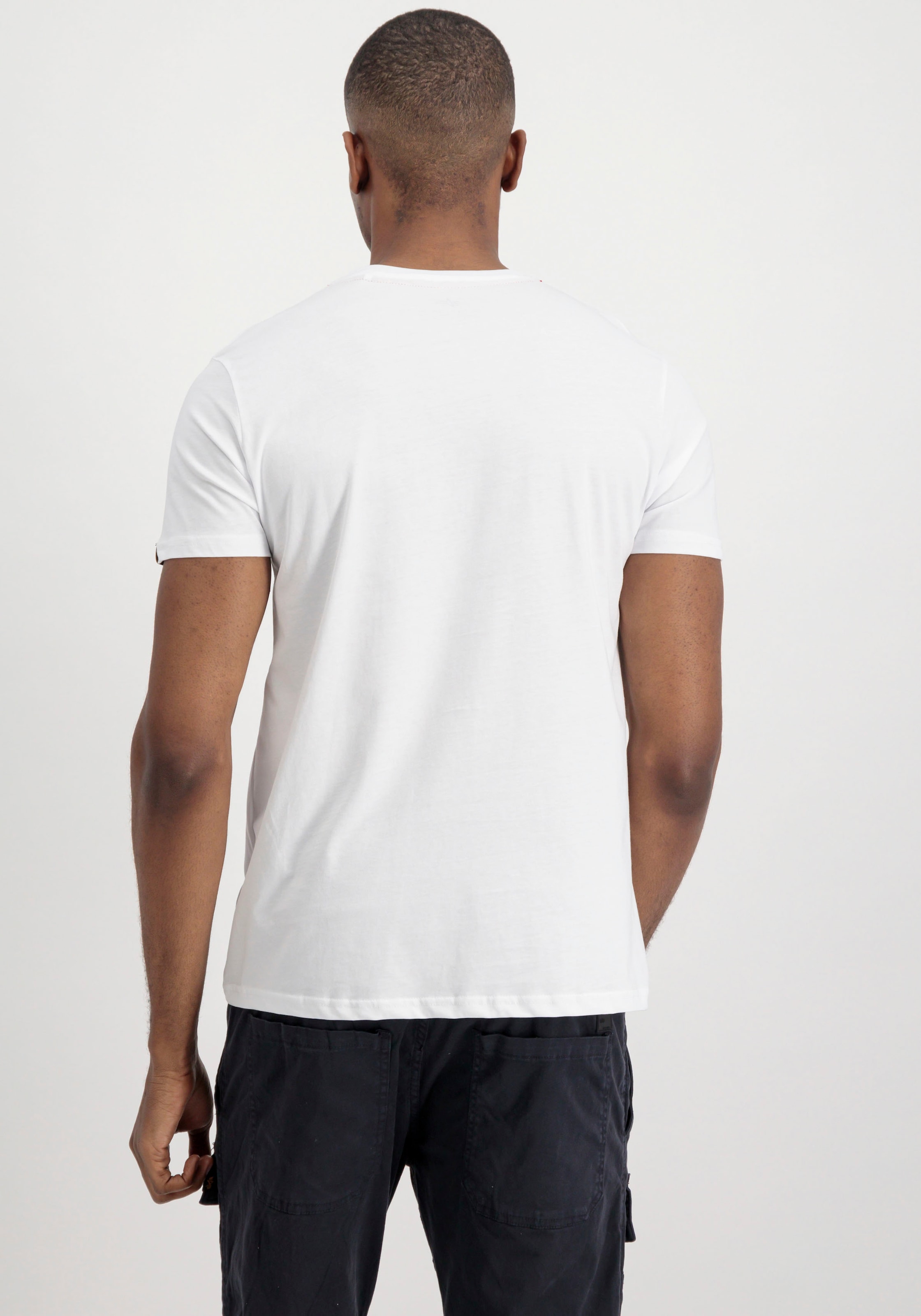 Alpha Industries Rundhalsshirt »Basic T ML«