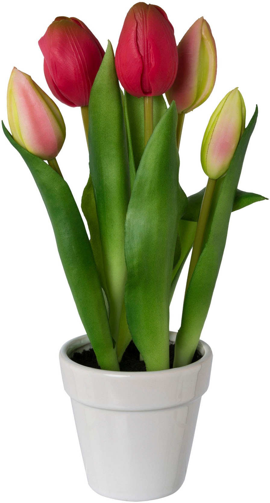 my home Kunsttulpe "Tulpen im Topf" günstig online kaufen