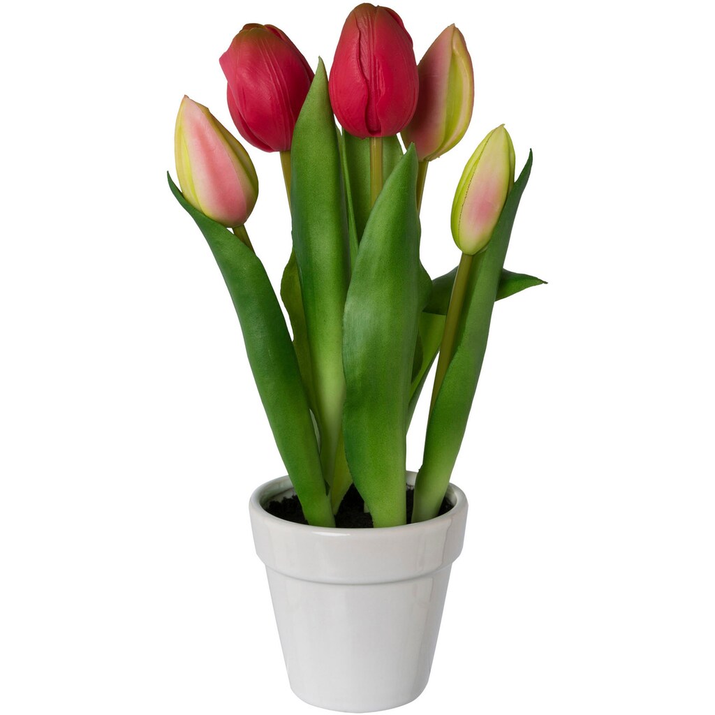 my home Kunsttulpe »Tulpen im Topf«