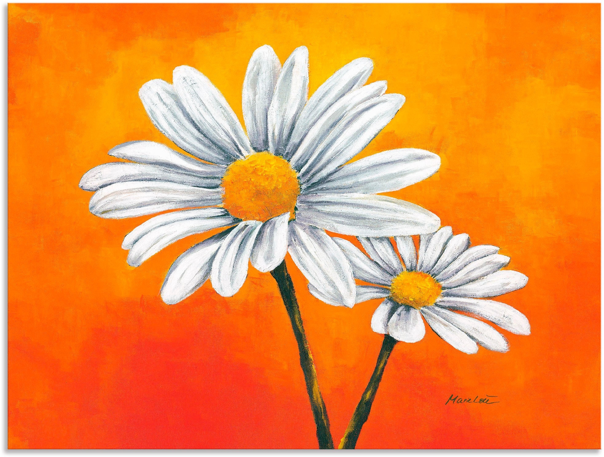 Artland Wandbild "Margeriten auf Orange" 1 Stk. tlg. als Alubild, Leinwandb günstig online kaufen