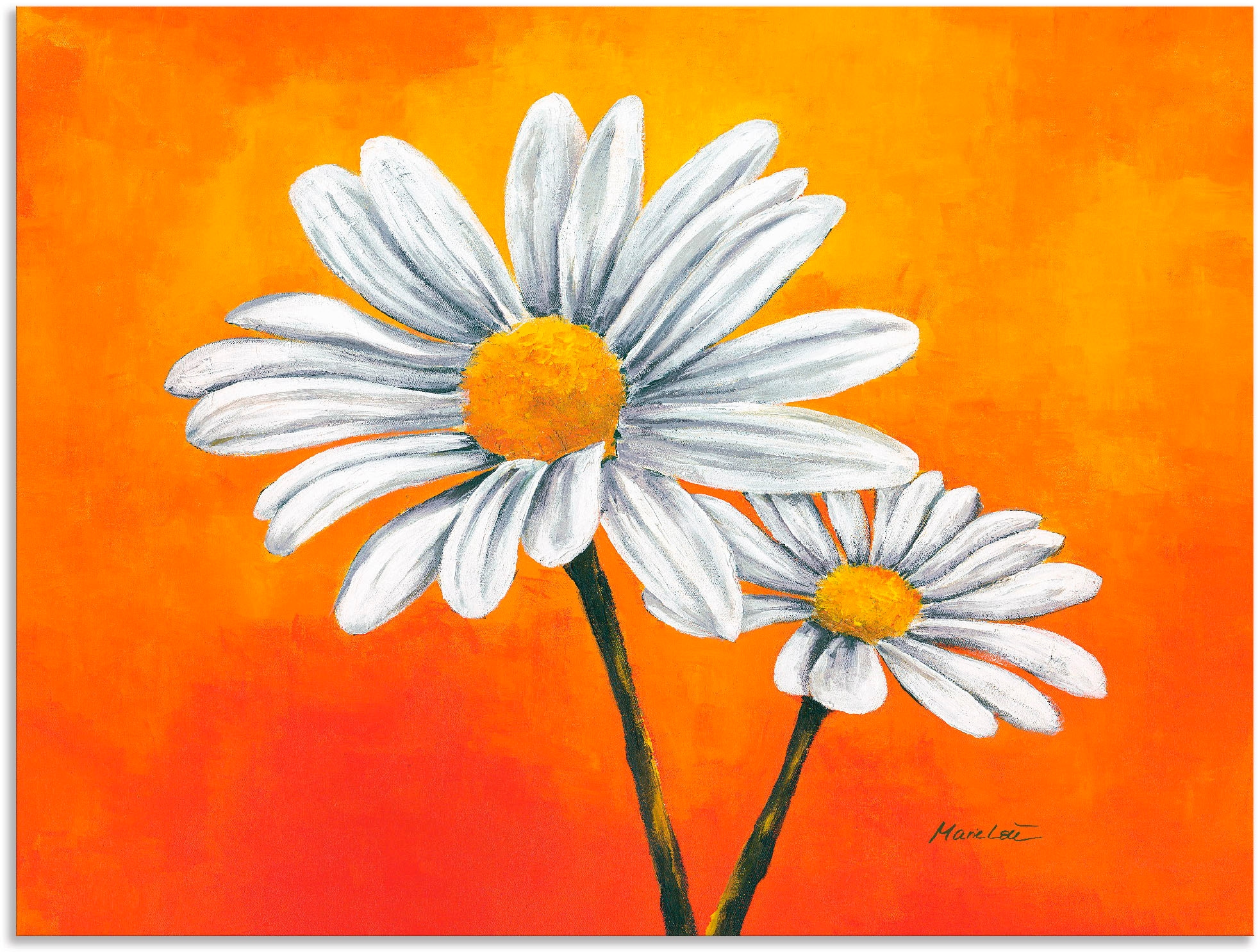 Artland Wandbild "Margeriten auf Orange" Blumen 1 Stk. tlg. als Alubild, Le günstig online kaufen