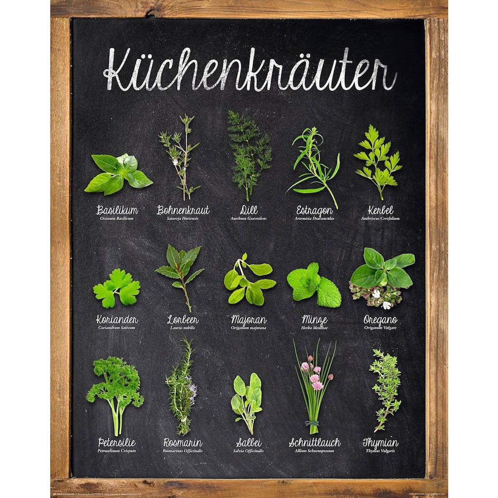 Home affaire Deco-Panel »Küchenkräuter«