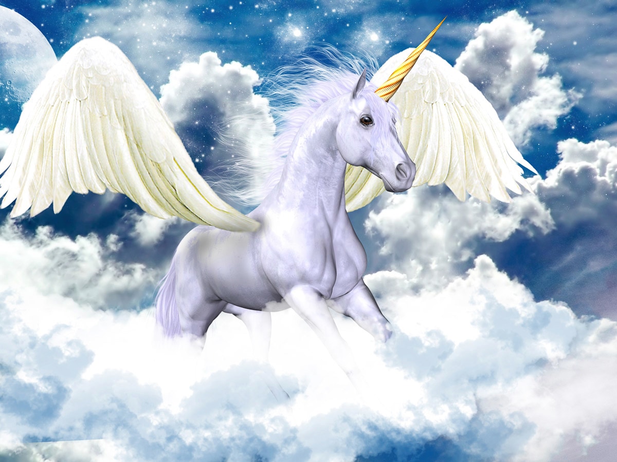 Papermoon Fototapete "Pegasus Einhorn"