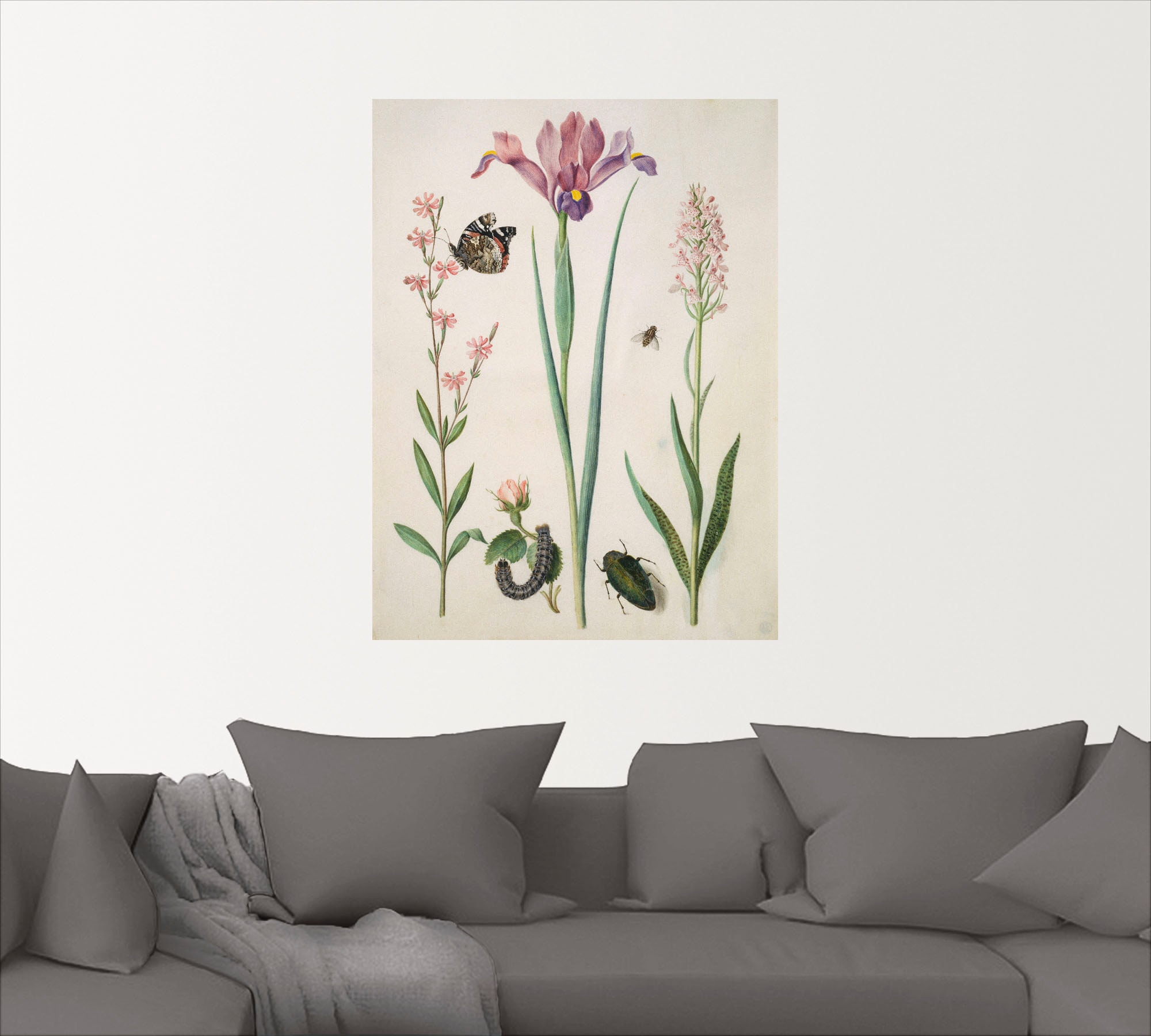 Artland Wandbild »Admiral, Rose Iris Knabenkraut.«, Pflanzen, (1 St.), als Poster, Wandaufkleber in verschied. Größen