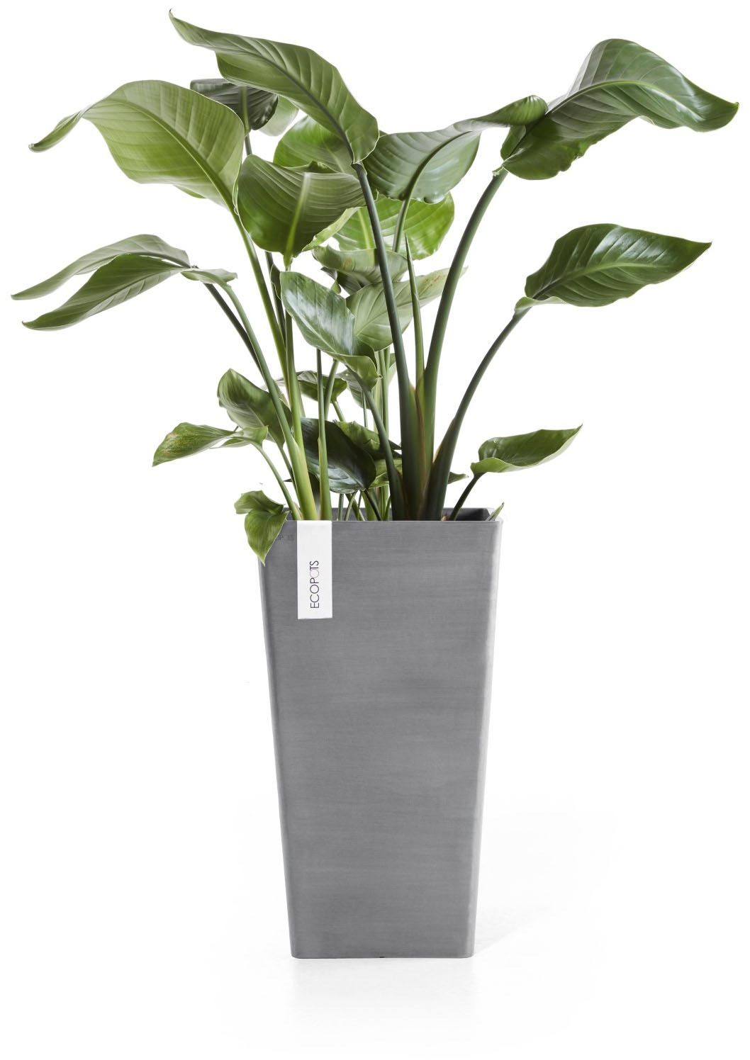 ECOPOTS Blumentopf »ROTTERDAM MID HIGH Grey« BxTxH: 31x31x56 cm