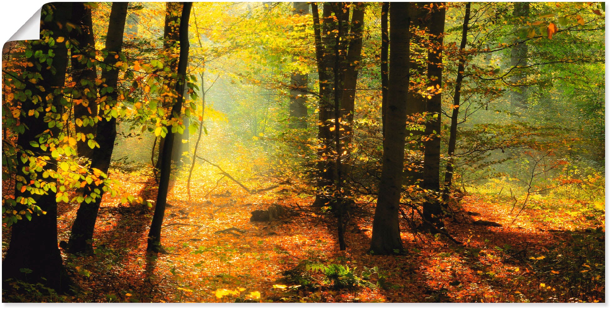 Artland Wandbild "Herbstlicht im Wald", Wald, (1 St.), als Leinwandbild, Poster, Wandaufkleber in verschied. Größen