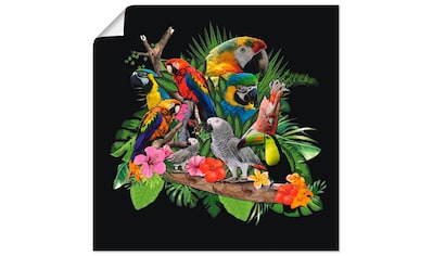 Wandbild »Papageien Graupapagei Kakadu Dschungel«, Vögel, (1 St.)