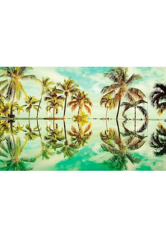 Komar Vliestapete »Key West« 400x250 cm (Bre...