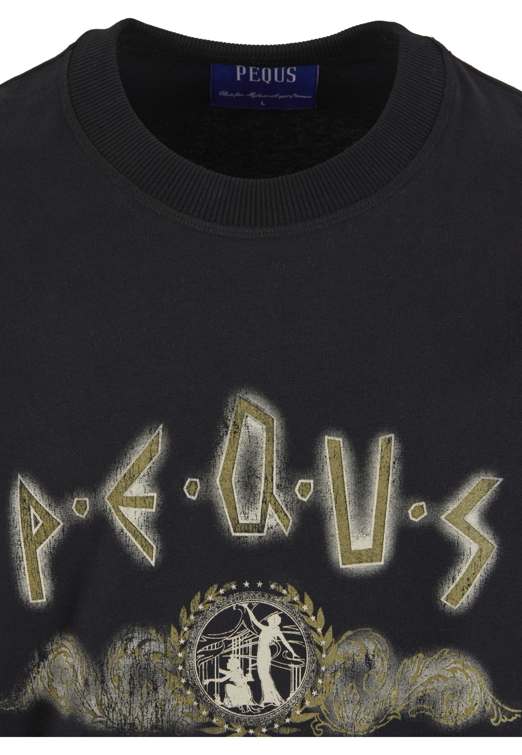 PEQUS T-Shirt »PEQUS PEQUS Ancient Painting T-Shirt« 1 Stk.