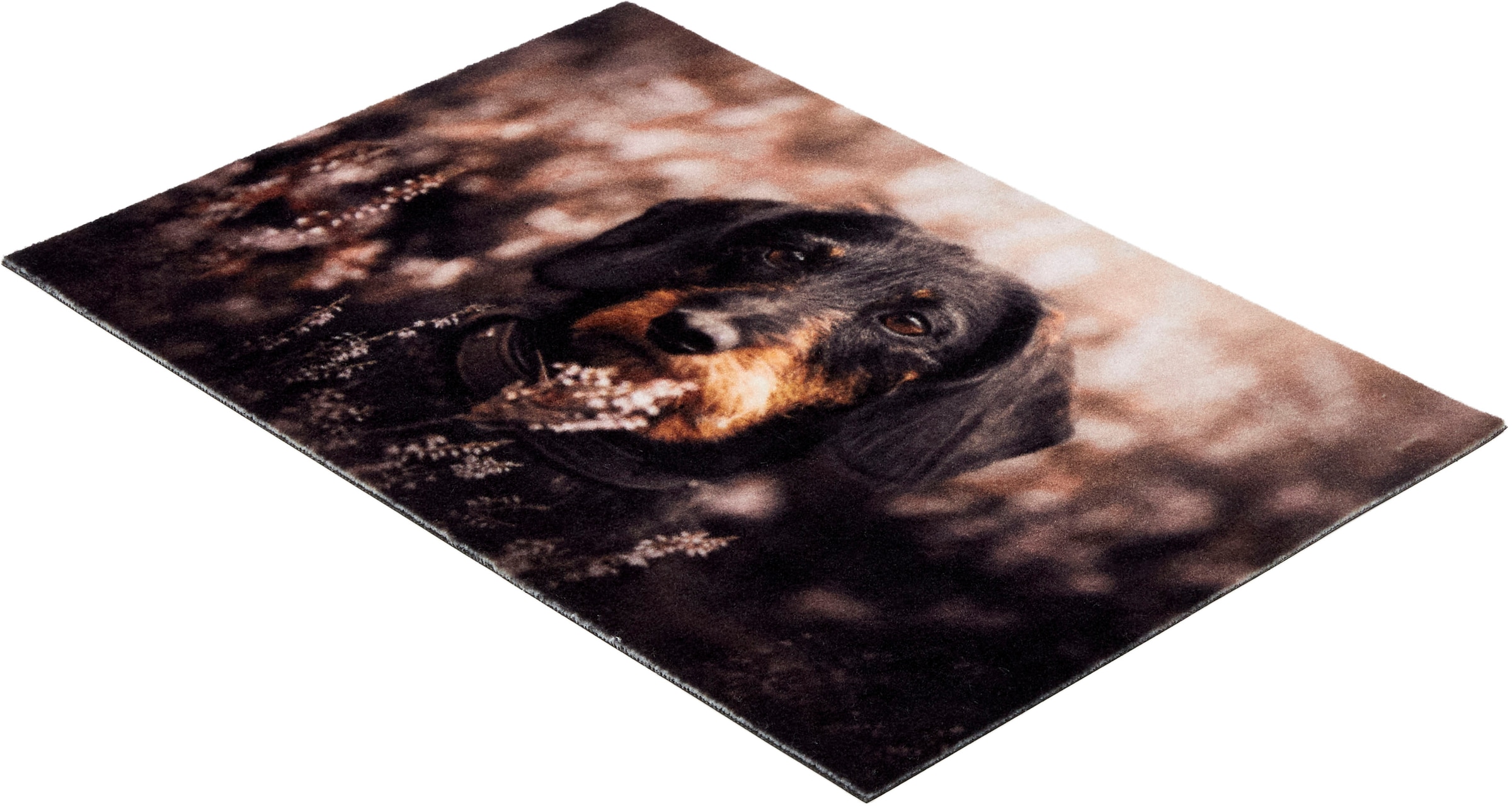 ASTRA Fußmatte »Deco Print 106« rechteckig 5 mm Höhe Sauberlaufmatte, Türmatte, waschbar, Eingangsbereich, rutschfest