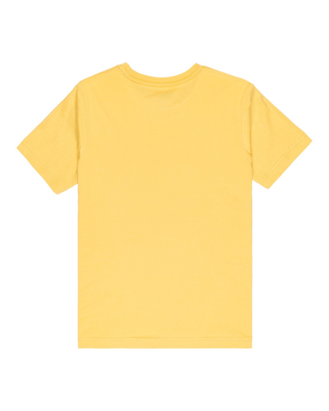 Quiksilver T-Shirt »Ev Comp Logo«