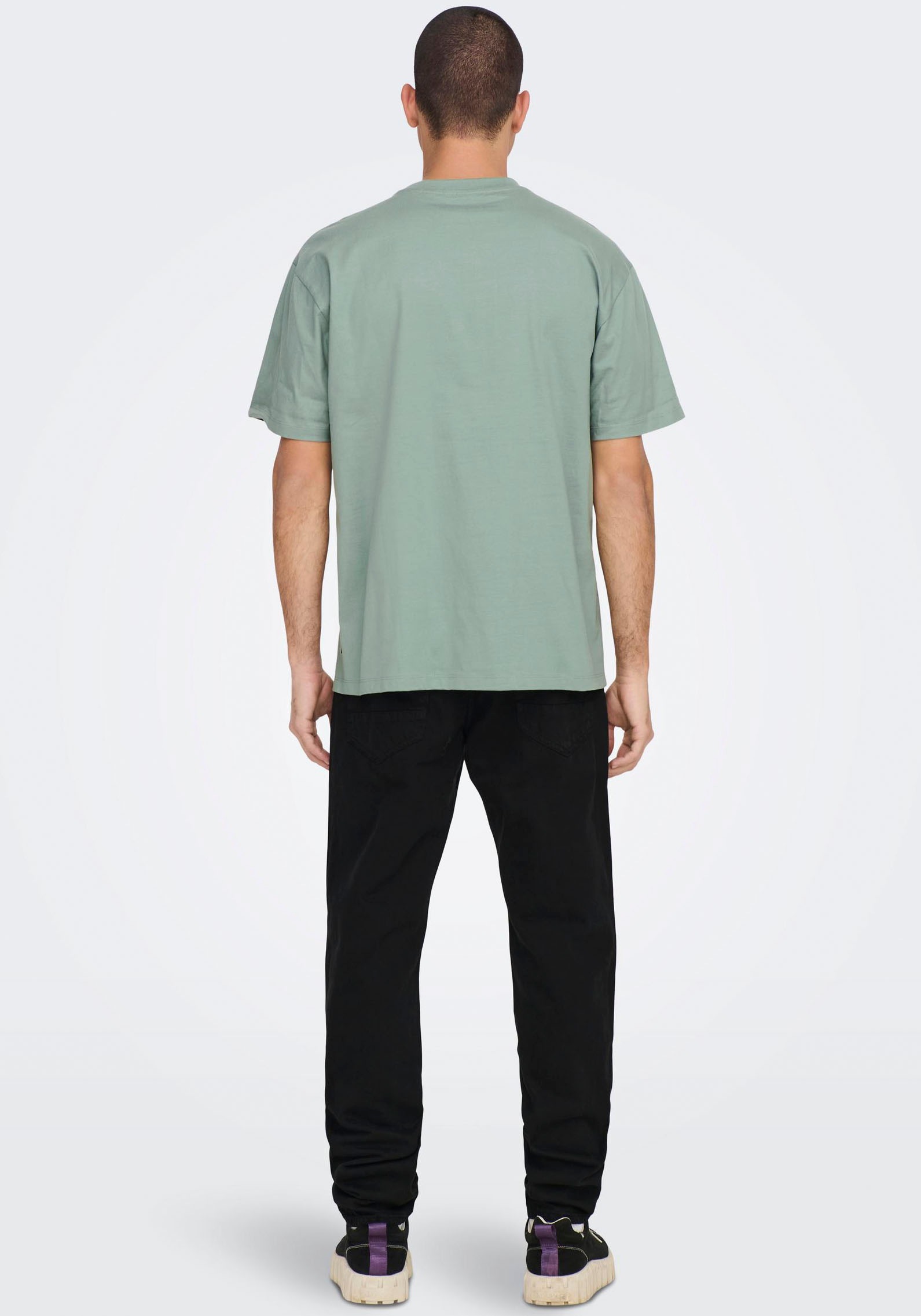 ONLY & SONS T-Shirt »ONSFRED LIFE RLX SS TEE NOOS«