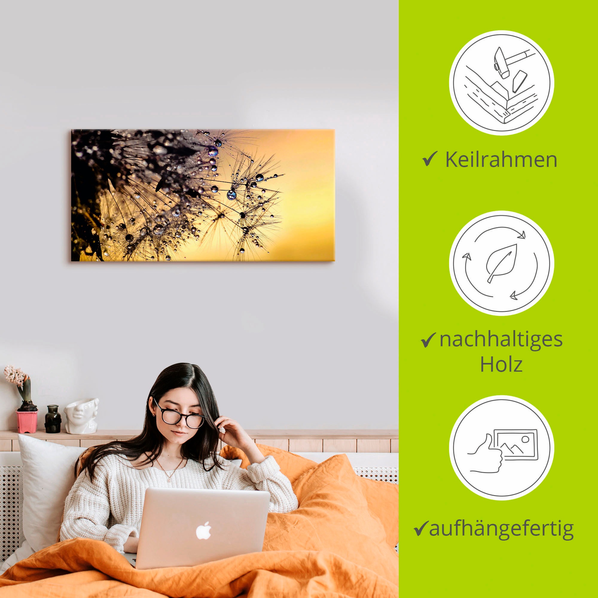 Artland Wandbild »Pusteblume mit Tautropfen benetzt«, Blumen, (1 St.), als Leinwandbild, Poster in verschied. Größen