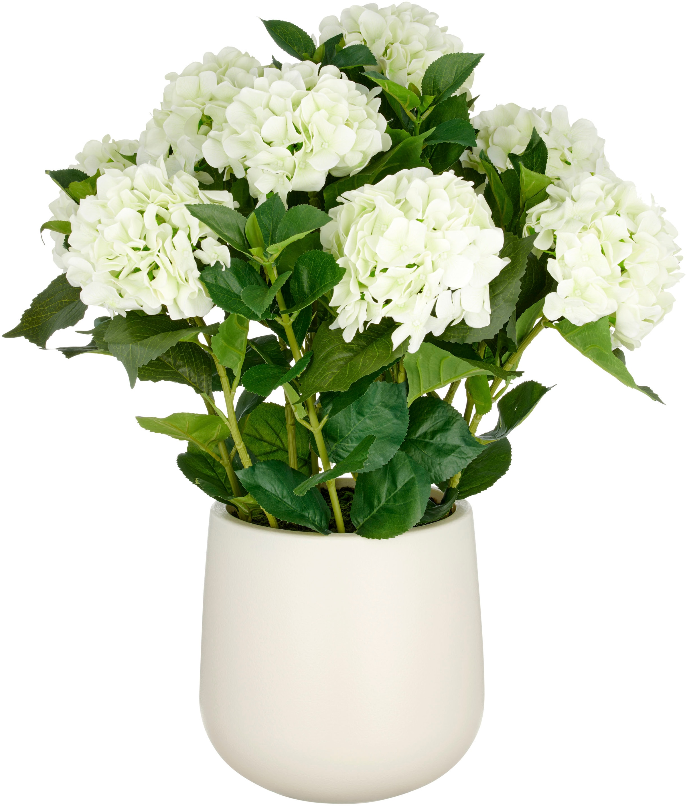 Creativ green Kunstpflanze "Hortensie", im eleganten Topf günstig online kaufen