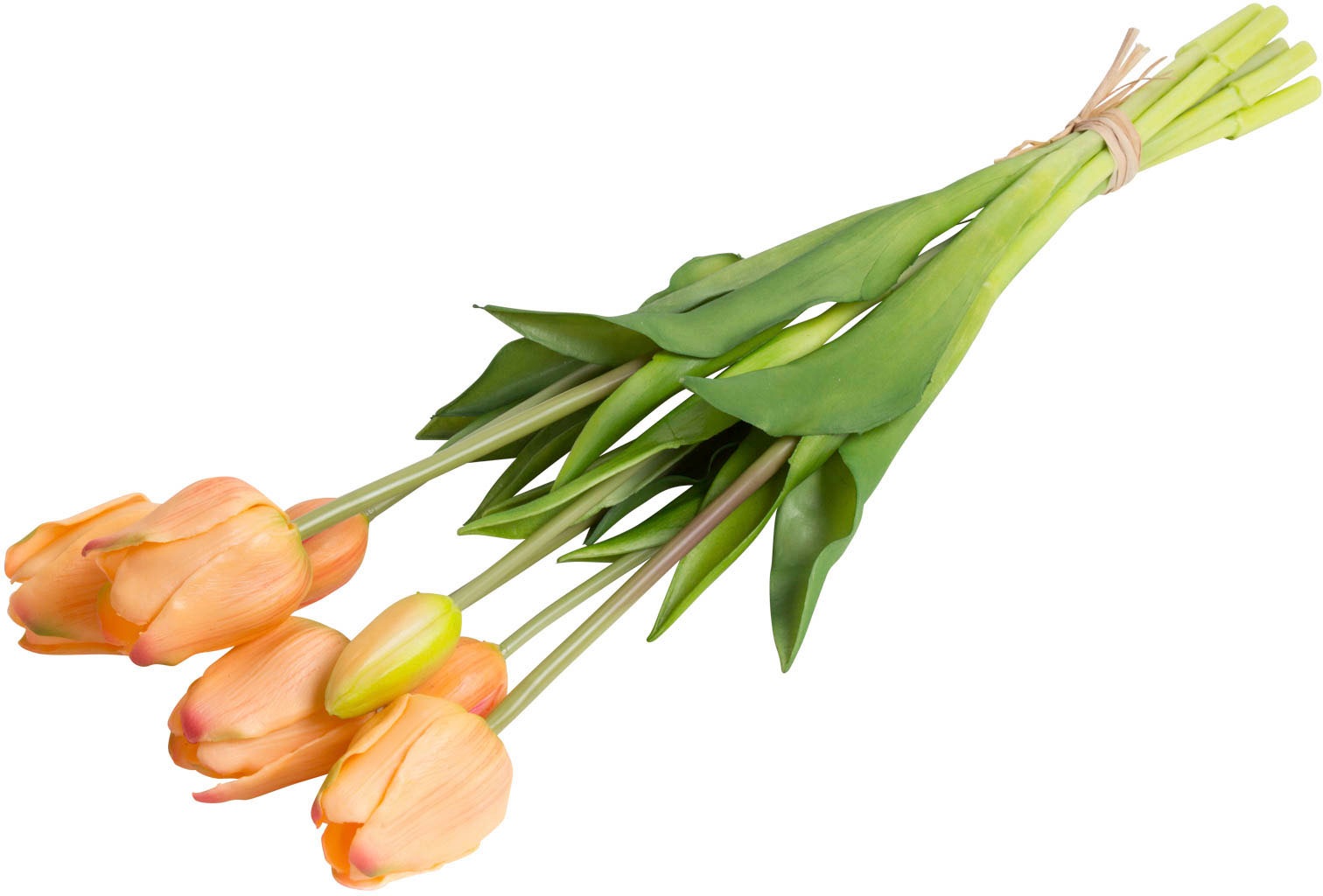 my home Kunstpflanze »Maiva«, Tulpenbündel im 7er-Set