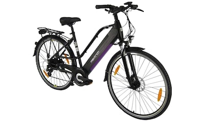 E-Bike »MT 12«, 8 Gang, Shimano, Altus, Heckmotor 250 W