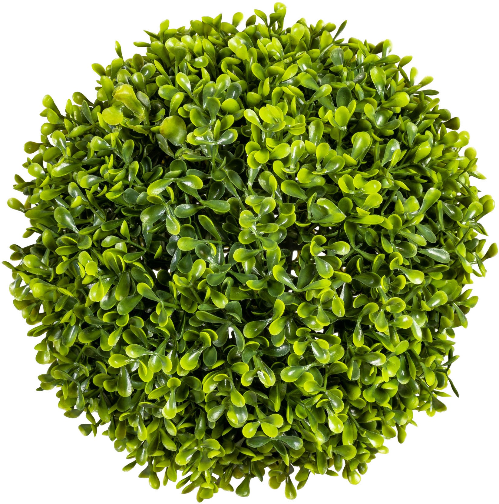 Creativ green Kunstpflanzen BAUR kaufen | online