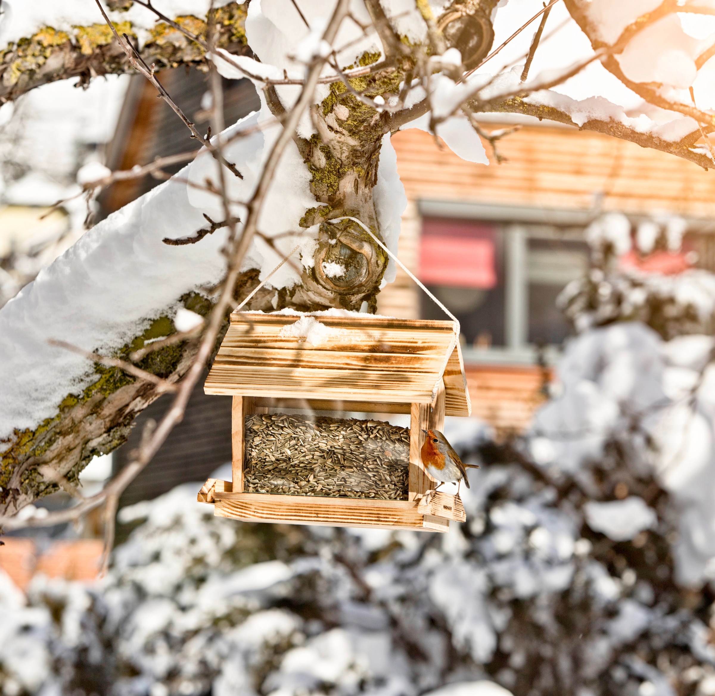 Windhager Vogelhaus »Großvenediger« BxTxH: 18x28x24,5 cm