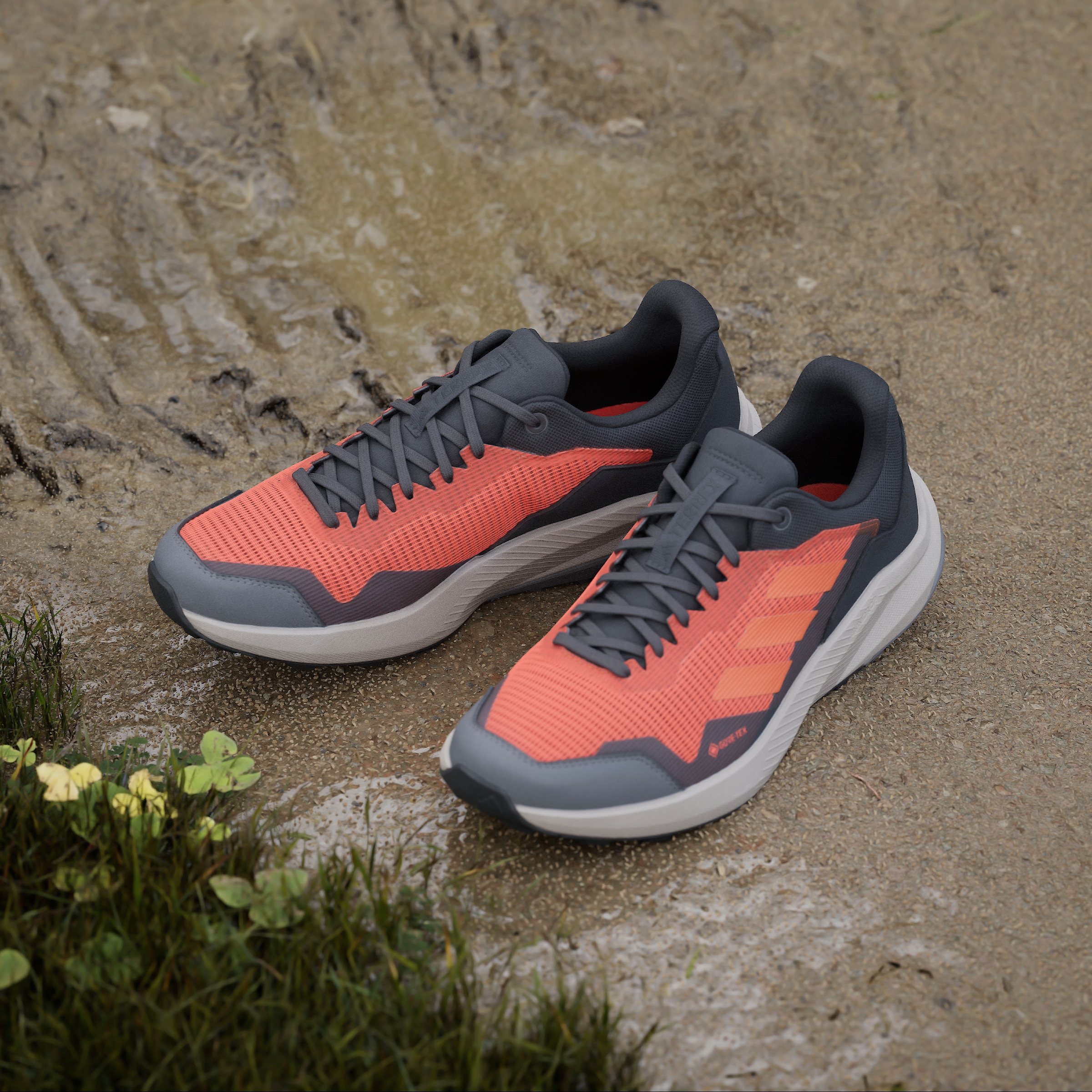 adidas TERREX Trailrunningschuh »TRAIL RIDER GORE-TEX TRAILRUNNING«, wasserdicht