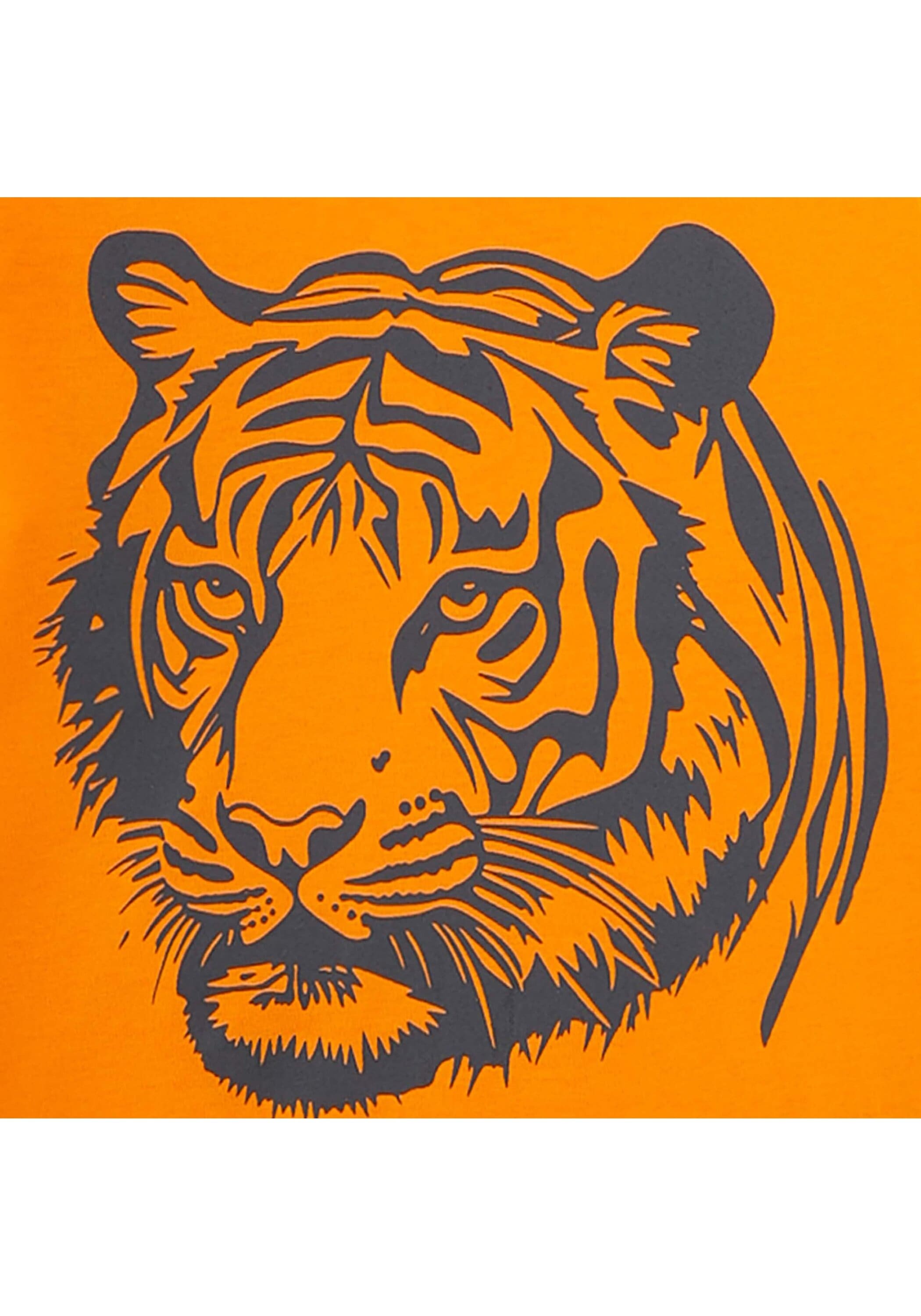 Sanetta Schlafanzug »Pyjama Schlafanzug Tiger kurz Kids«