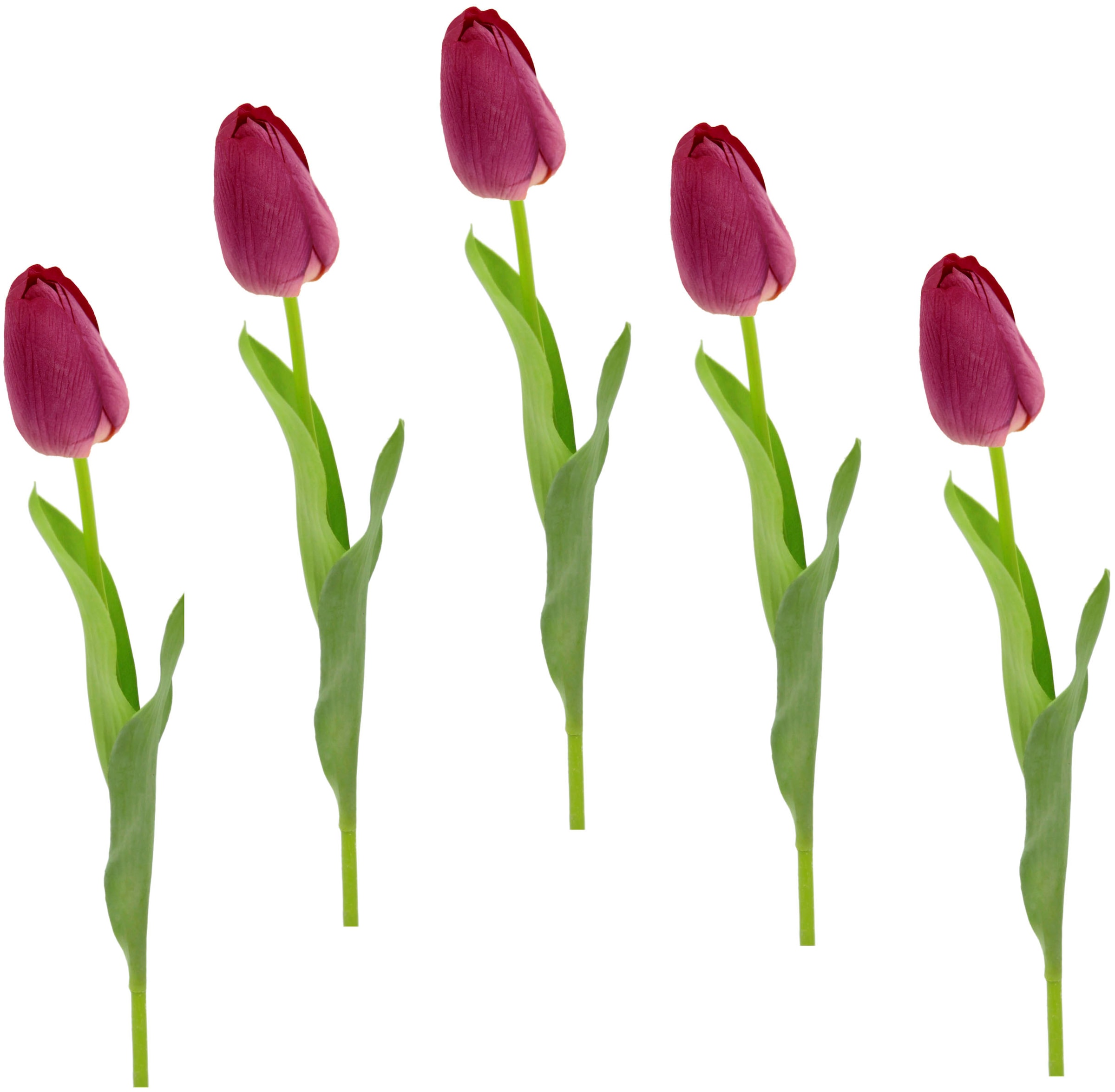 künstliche Kunstblume BAUR Tulpen«, »Real | Touch Tulpenknospen, Stielblume Kunstblumen, Set bestellen 5er I.GE.A.