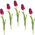 I.GE.A. Kunstblume »Real Touch Tulpen«, (5 St.), 5er Set künstliche Tulpenknospen, Kunstblumen, Stielblume