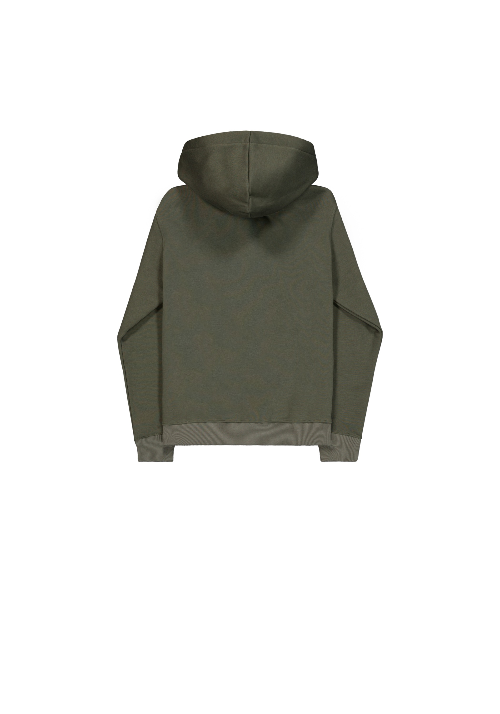 Alpha Industries Kapuzensweatshirt »Basic Hoodie BL Mirror Leo W«
