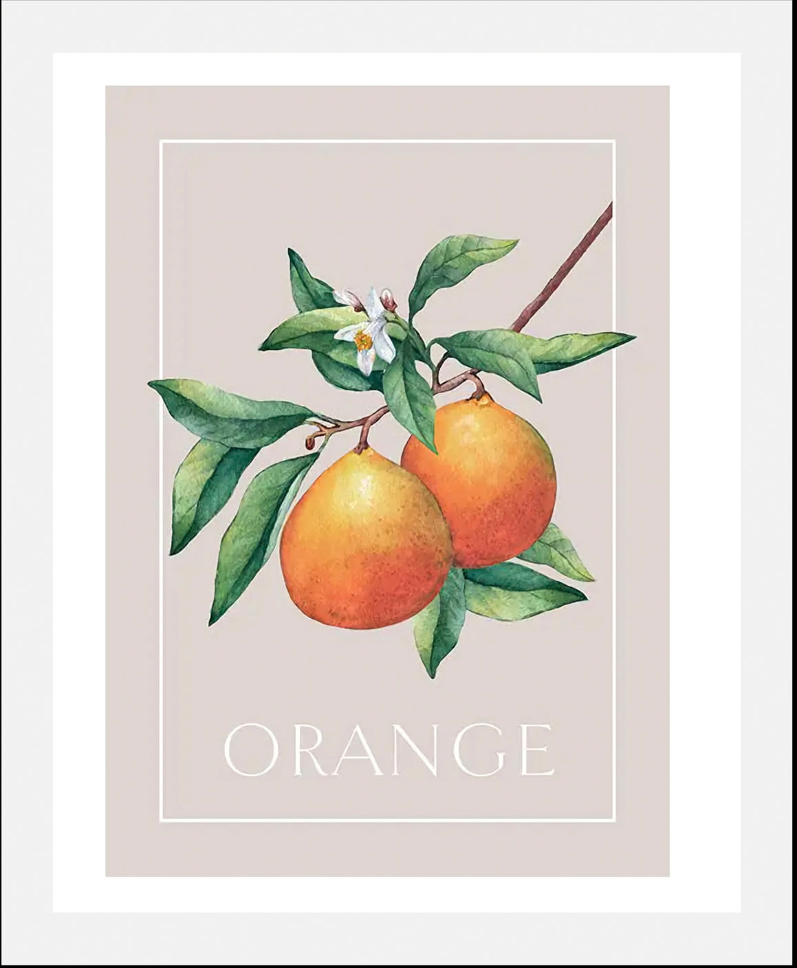 queence Bild "Orange", Obst-Obst Bilder-Schriftzug-Kunst-Pflanzen-Pflanzenb günstig online kaufen