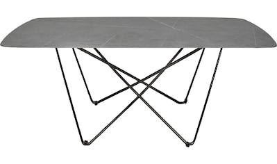 Tenzo Esstisch »LIPP«, Design von Tenzo Design studio, Breite 180 cm  bestellen | BAUR