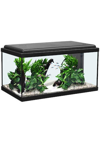 Aquatlantis Akvariumas »Advance 60 LED« BxTxH: 60x...