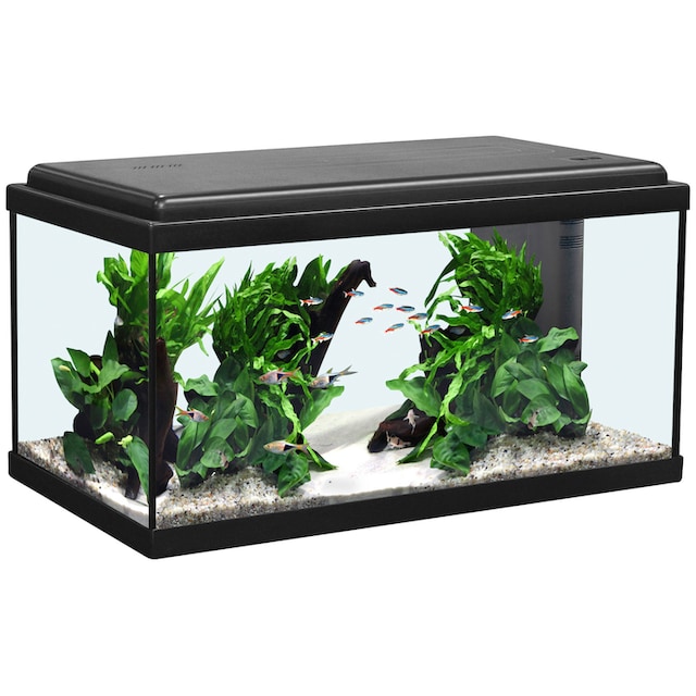 Aquatlantis Aquarium »Advance 60 LED«, BxTxH: 60x30x34 cm, 54 l per  Rechnung | BAUR