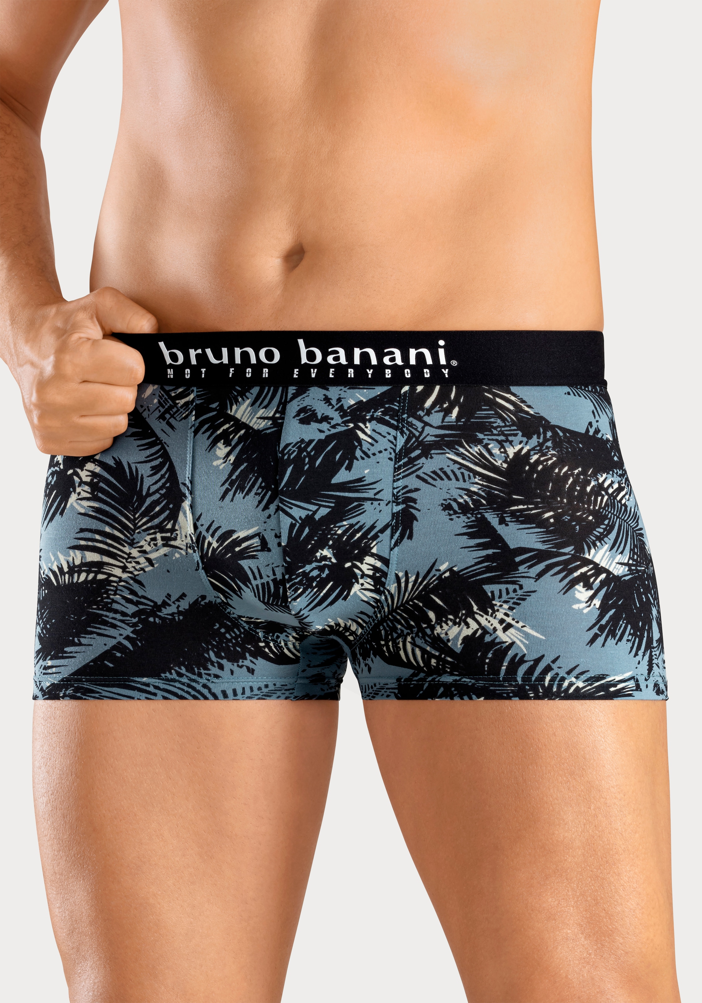 Bruno Banani Boxer »Boxershorts für Herren«, (Packung, 4 St., 4er-Pack), mit Palmendruck und unifarben aus Baumwollmischung