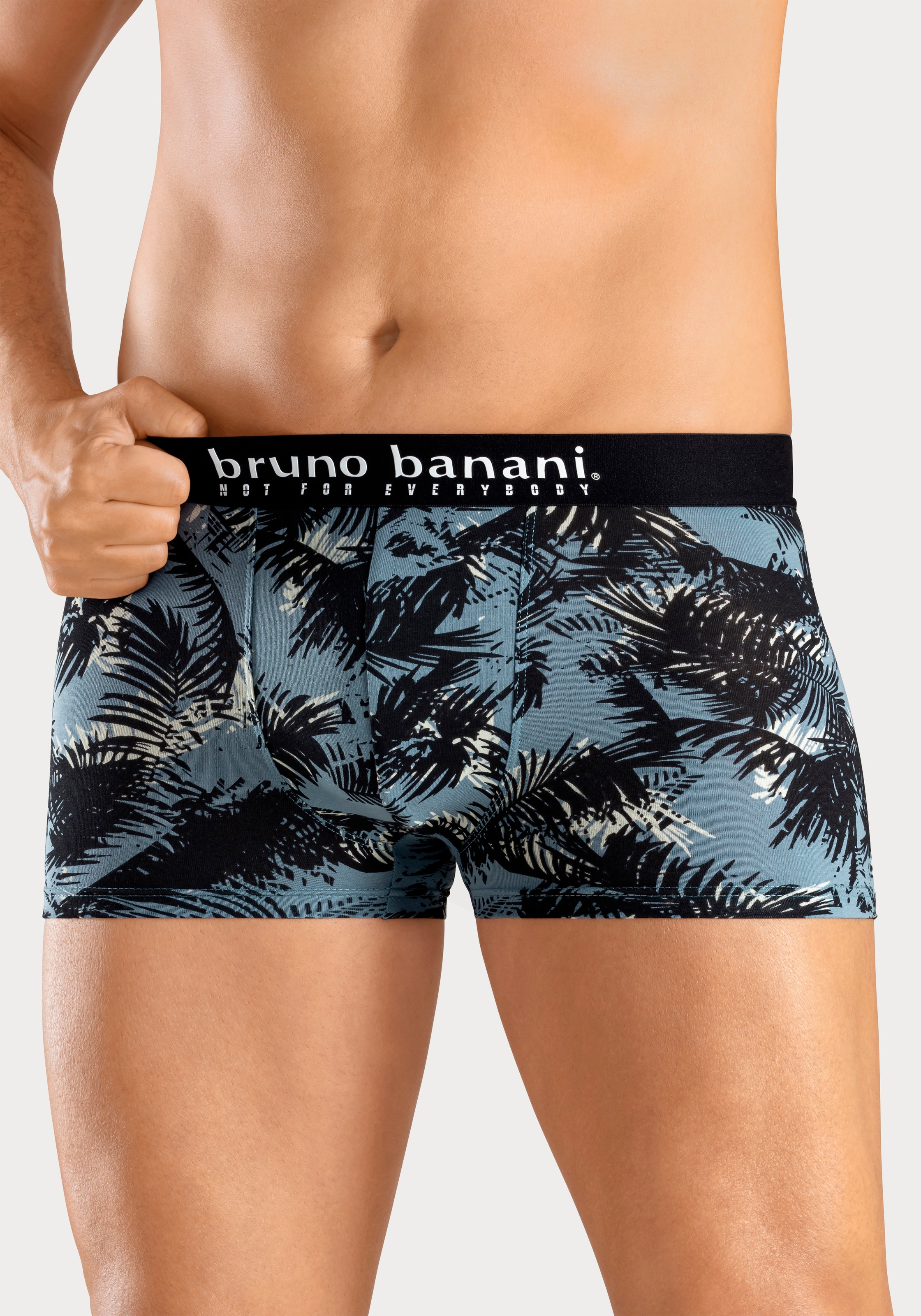 Bruno Banani Boxer "Boxershorts für Herren", 4 Stk. mit Palmendruck und uni günstig online kaufen