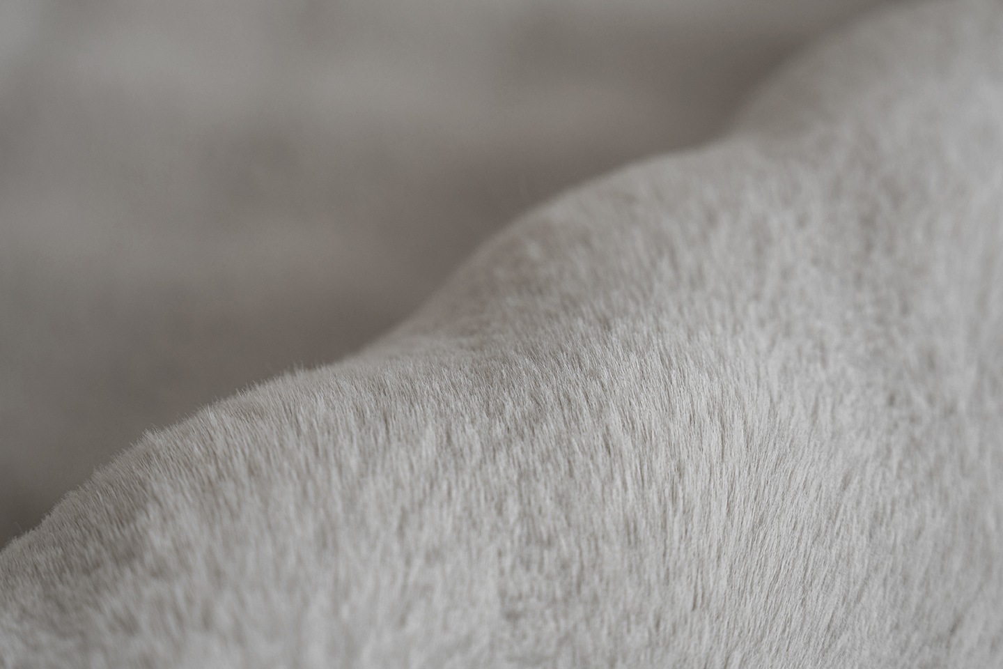 PADIRO Hailey 125 Rug Gray 200x290cm 3