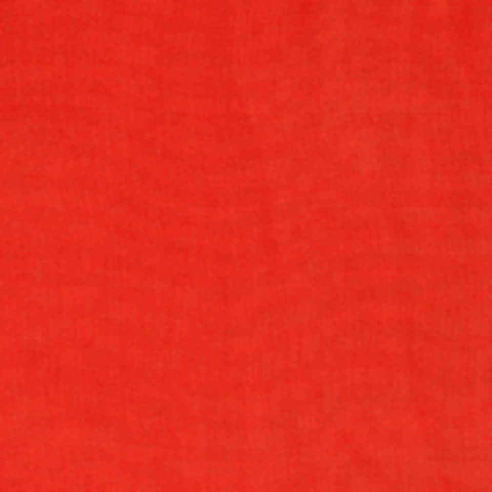 Cecil Loop Basic