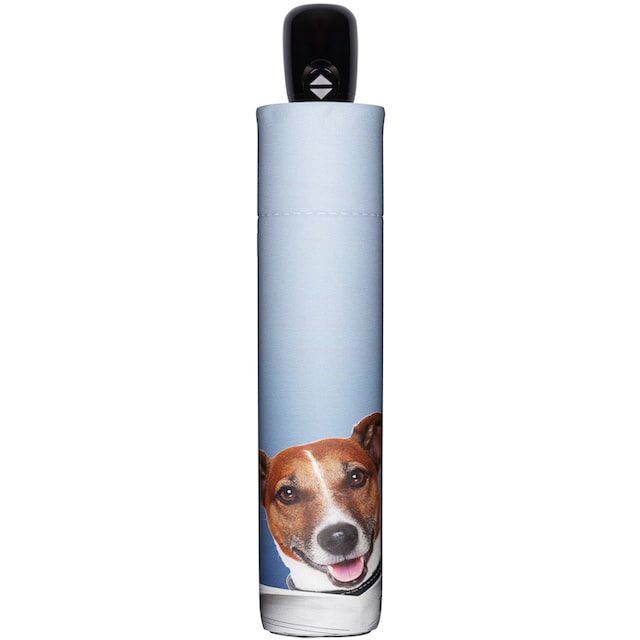 doppler® Taschenregenschirm »Modern Art Magic Mini, Daily Dog« online  kaufen | BAUR
