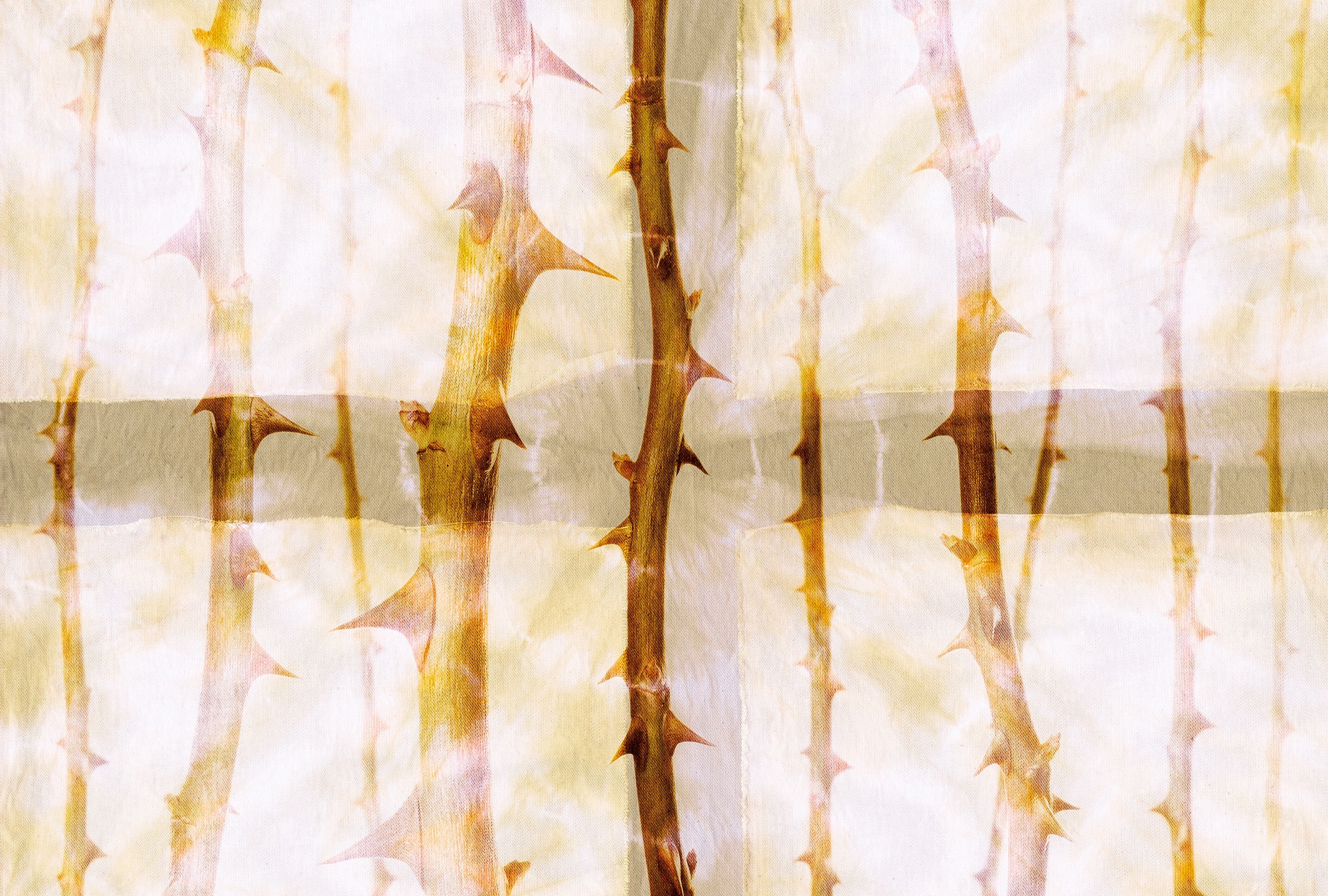 Architects Paper Fototapete "Atelier 47 Thorn Art 2" floral glatt Vlies, Wand, Schräge, Decke