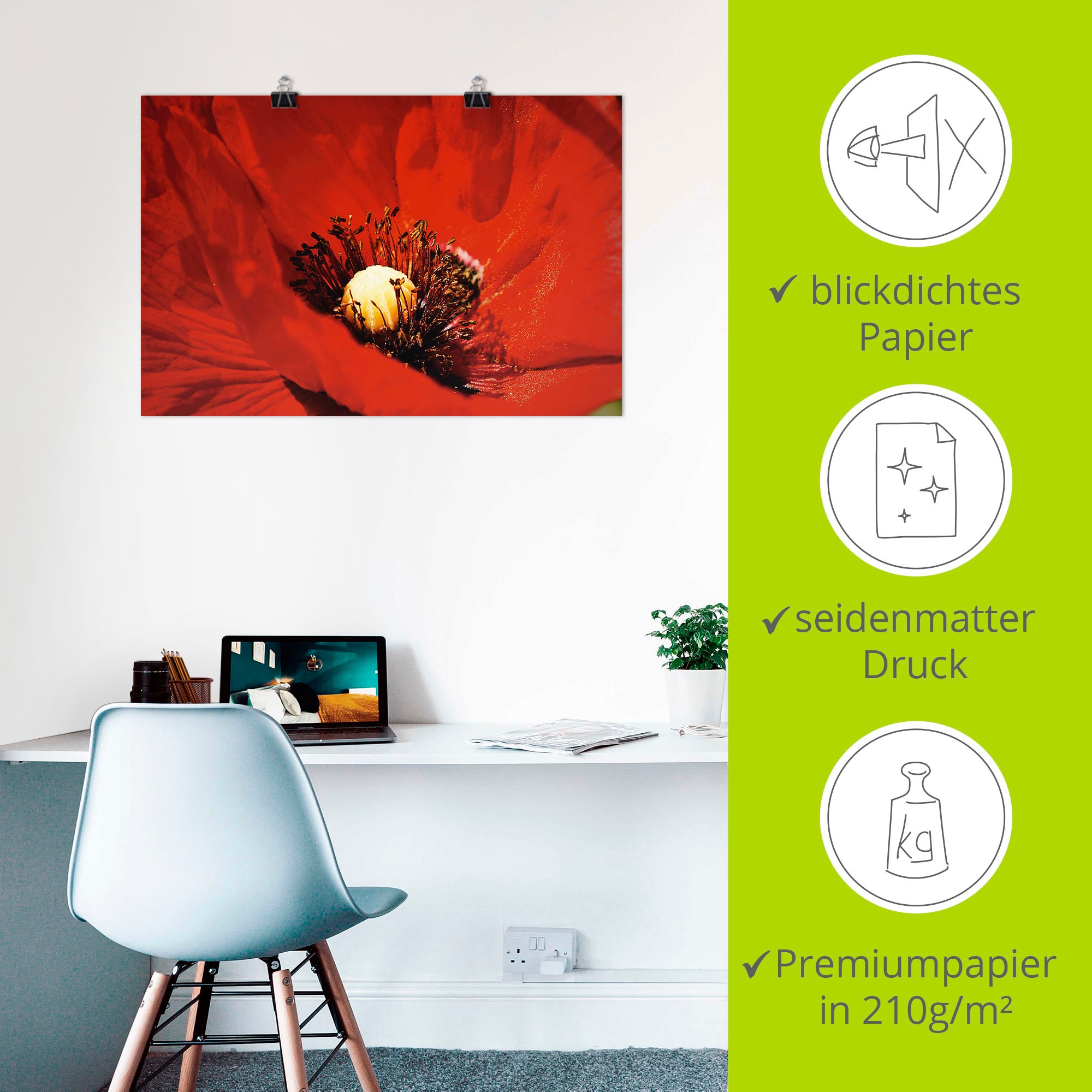 Artland Wandbild »Roter Mohn«, Blumen, (1 St.), als Alubild, Leinwandbild, Wandaufkleber oder Poster in versch. Größen