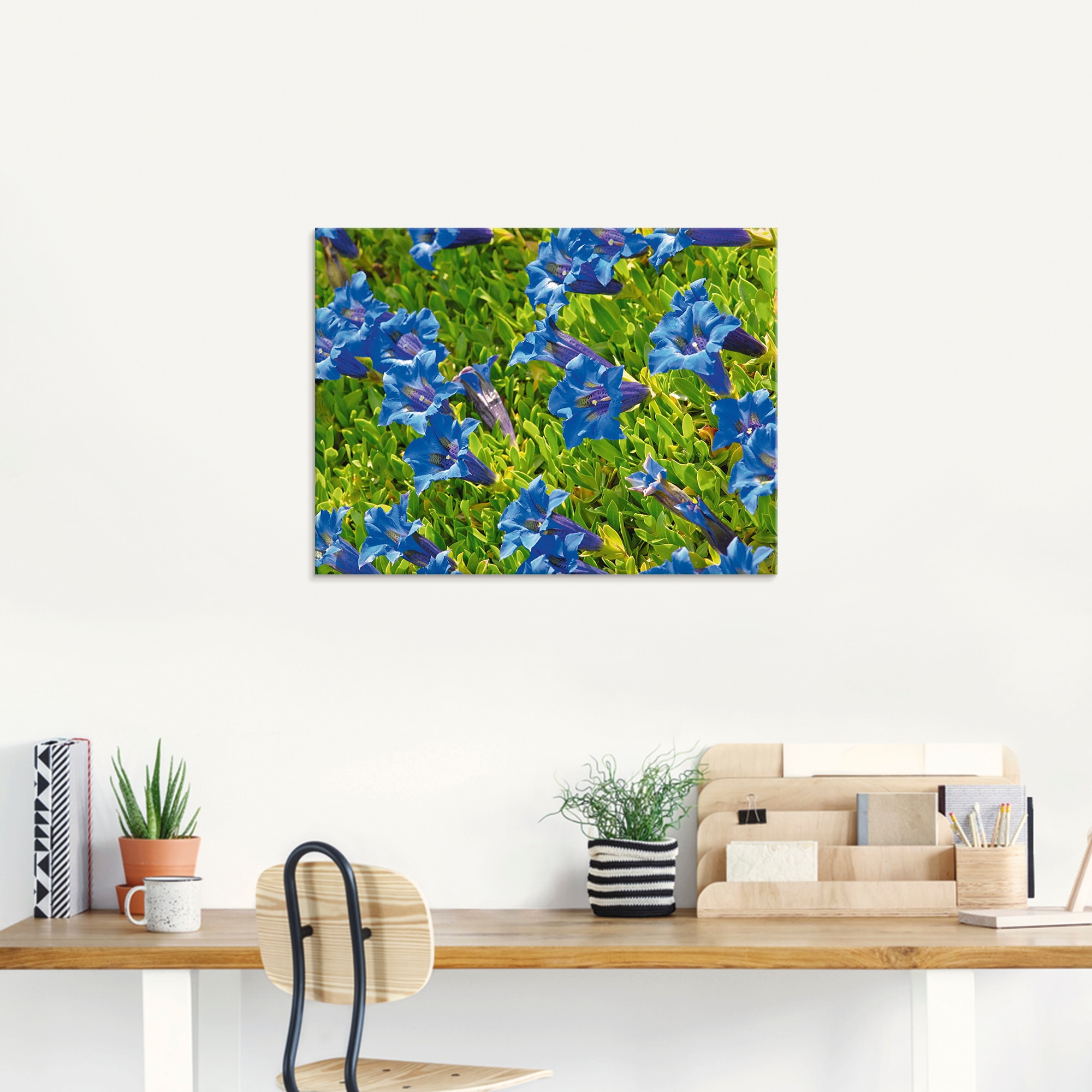 Artland Glasbild »Enzian«, Blumenwiese, (1 St.), in verschiedenen Größen