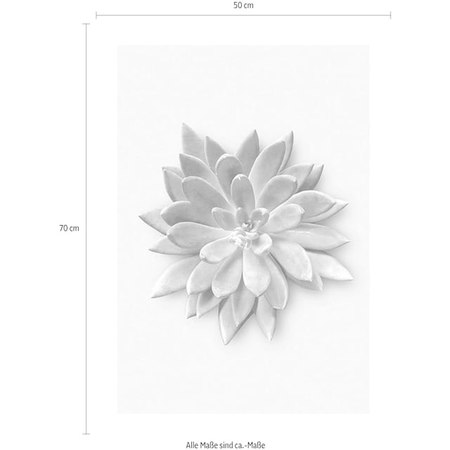 Komar Poster »Succulent Agave«, Pflanzen-Blätter, Kinderzimmer, Schlafzimmer,  Wohnzimmer | BAUR