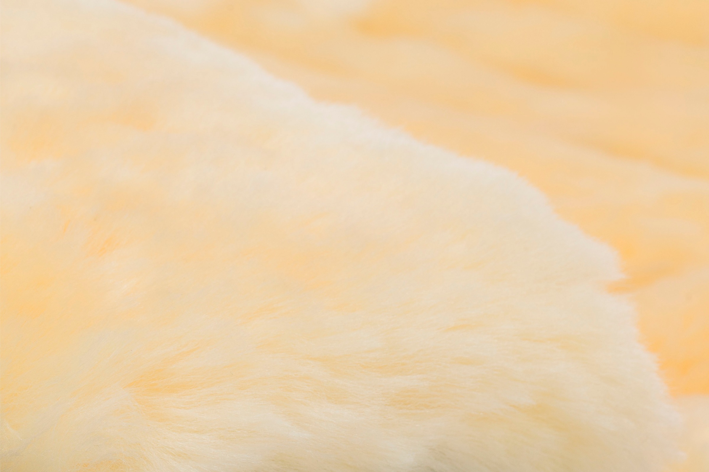 Thumbnail - Fillikid Fußsack "Bernina Winterfußsack"