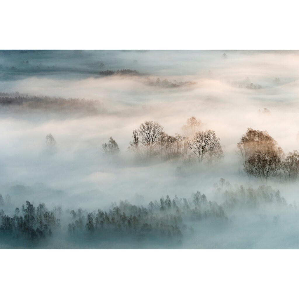 Papermoon Fototapete »Photo-Art MARCO GALIMBERTI, WINTERNEBEL«