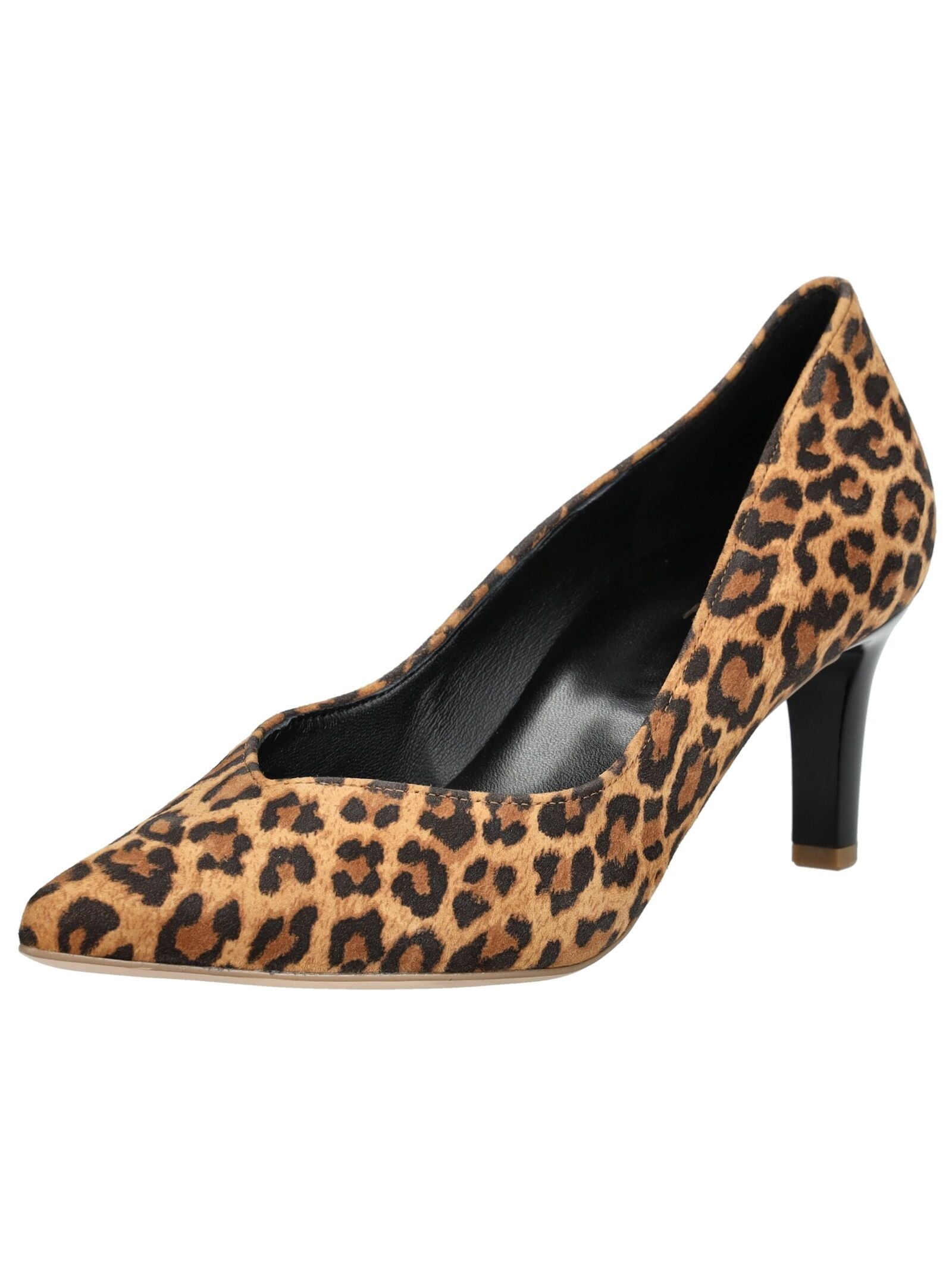 Högl Pumps "Högl Pumps Leder" günstig online kaufen